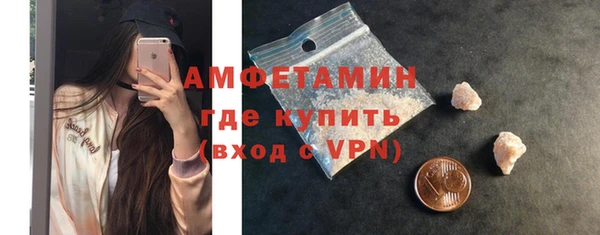 спиды Ельня