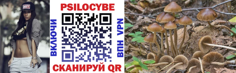 Галлюциногенные грибы Cubensis  Купить  Белёв 